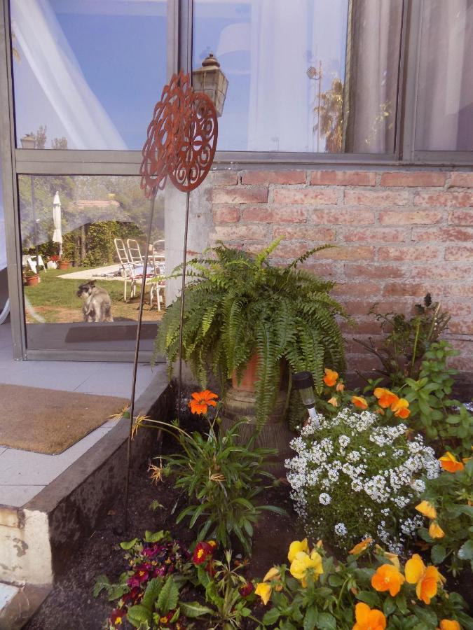 Francisca Apartment Mendoza Exterior photo